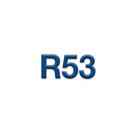 R53