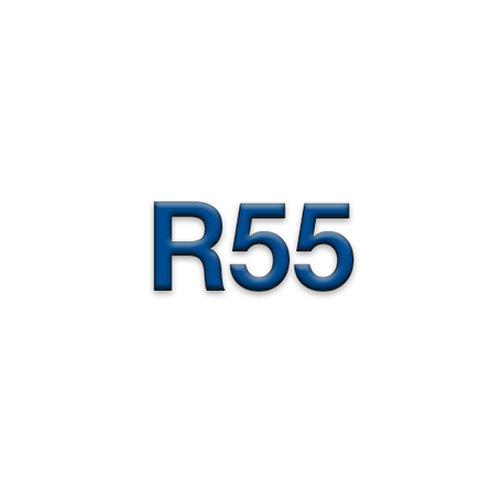 R55