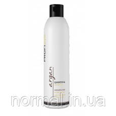 Шампунь Profi Style Argan Поживний з олією аргани для сухого та пошкодженого волосся 250 мл