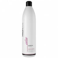 Шампунь ProfiStyle Color Захист кольору для фарбованого волосся 1 л