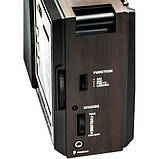 Портативний радіоприймач FM Golon RX-9922 USB, фото 4