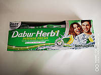 Зубна паста - М'ята і Лимон - Свіжий гель Dabur HERB'L 150г + щетка