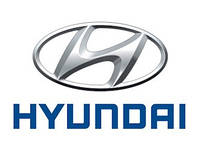 Захист двигуна Hyundai