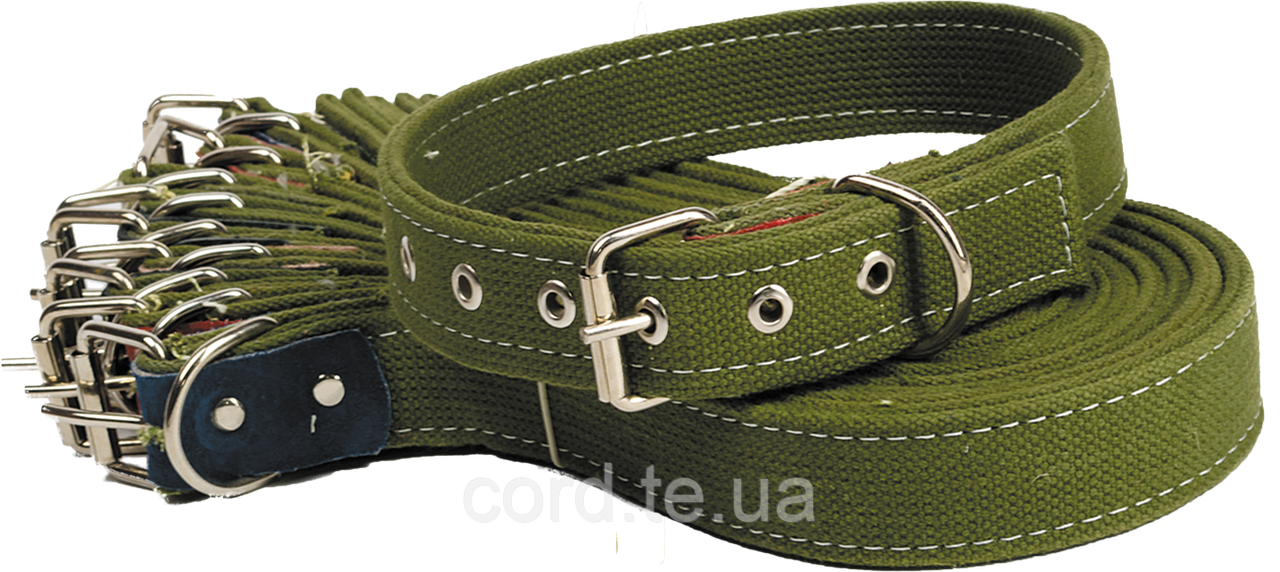 Ошийник подвійний 2,5*45 см