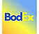 Компания "BODEX"