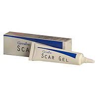 Гель для удаления рубцов и всех видов шрамов Scar Gel 15 г. Giffarine (8850904140058)