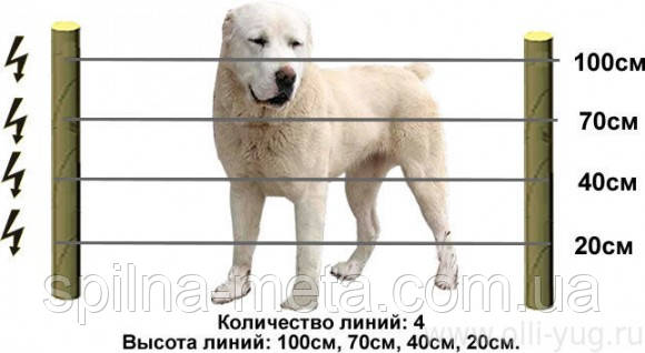 Електропастух для собак і котів (комплект на 125 м)