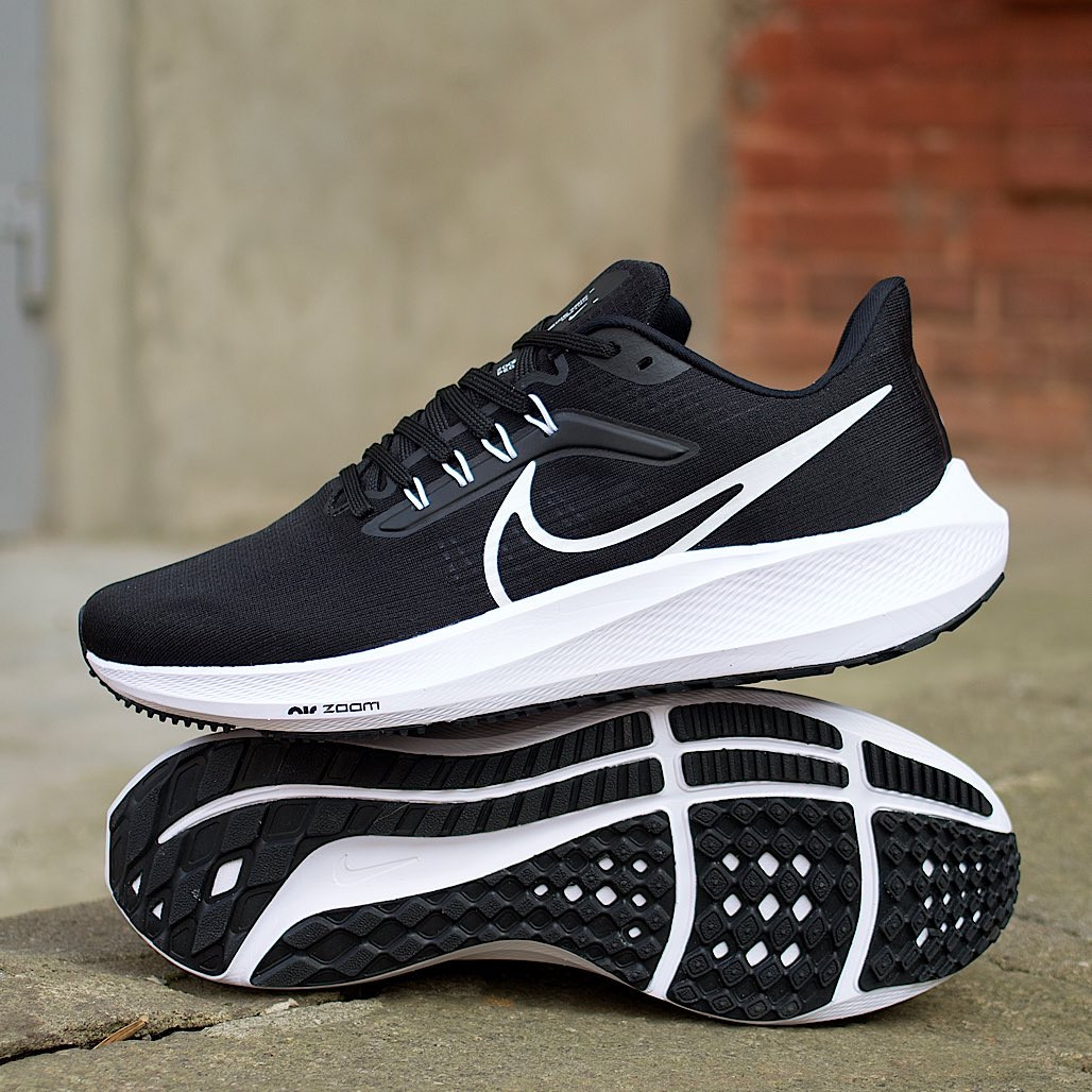 Кроссовки мужские Nike Pegasus 39