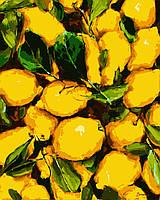 Картина по номерам "Сочные лимоны" 40*50 см, набор для творчества, Artmo, Украина