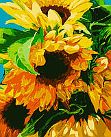 Картина по номерам "Яркие подсолнухи" 40*50 см, набор для творчества, Artmo, Украина