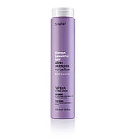 Шампунь антижелтый для седых и осветленных волос Erayba ABH Silver No-Yellow Shampoo, 250мл