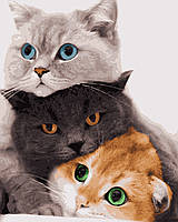 Картина по номерам "Три кота" 50*60 см, набор для творчества, Artmo, Украина