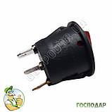 Кнопка триконтактна увімкнення/вимкнення сушки для фруктів та інших побутових електроприладів, фото 3