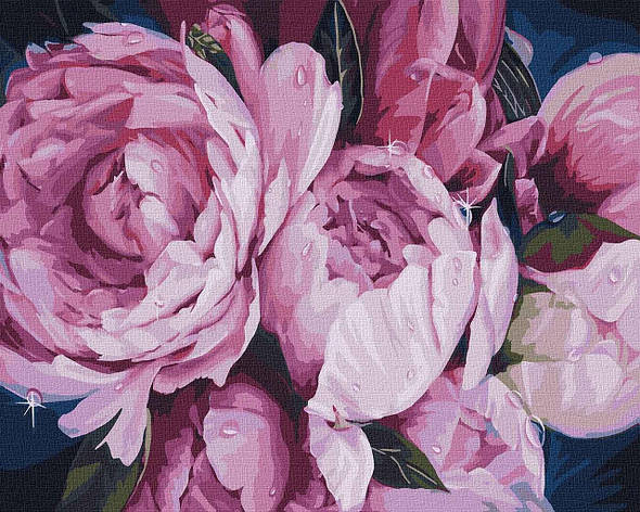 Картина за номерами KHO3116 Нежность пионов, 40*50см Ideyka, фото 1