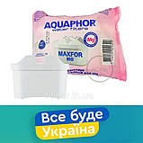 B25 (MG) Картридж Аквафор Максфор В100-25 з магнієм - 1 шт., фото 2