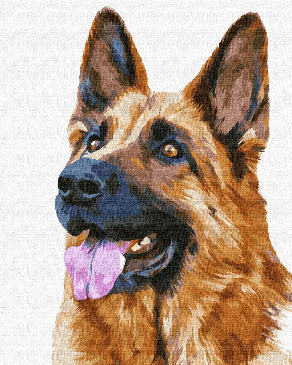 Картина за номерами KHO4308 Верный друг, 40*50см Ideyka