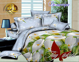 Сімейні комплекти