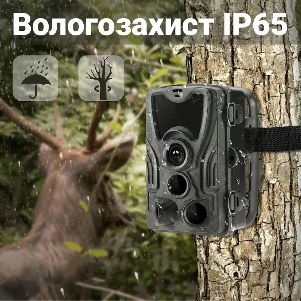 Фотоловушка, охотничья камера Suntek HC-801LTE, 4G, SMS, MMS - фото 9 - id-p1248979640