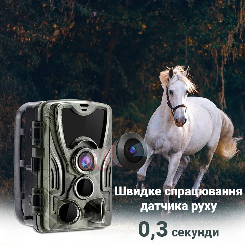 Фотоловушка, охотничья камера Suntek HC-801A, базовая, без модема - фото 7 - id-p1248979641