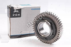 Шестірня 1-передавання Газель NEXT вторинного вала КПП (виробництво ГАЗ)