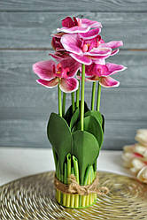 Букет орхідей, 32 см