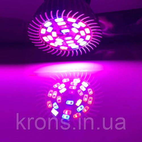 Фітолампа фіто лампа для рослин, повний спектр E27, 28 LED 8Вт, фото 1