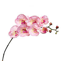 Орхидея нежно розовая 137см 1