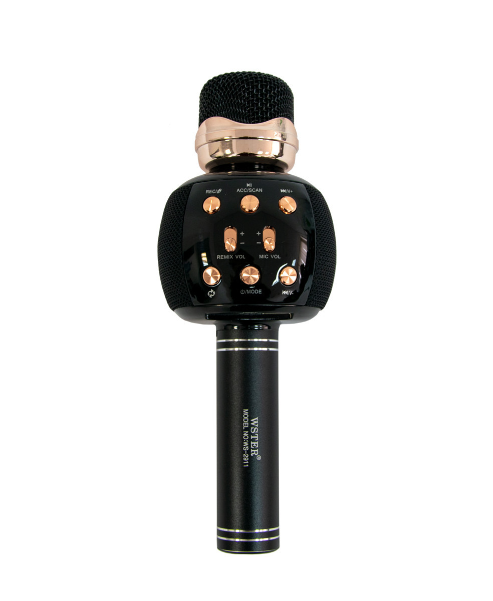 Детский микрофон караоке Wster WS-2911 Черный с Золотым блютуз с динамиком и USB | дитячий мікрофон (TO) - фото 3 - id-p1495573846