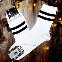 Білі високі спортивні шкарпетки — шкарпетки спорт