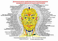 Диагностические представительства расстройств внутренних органов на лице и шее человека - постер