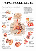Детально про шкоду куріння - постер