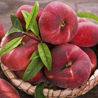 Персик Світ Рінг (інжирний) 1 клас (1 шт.)