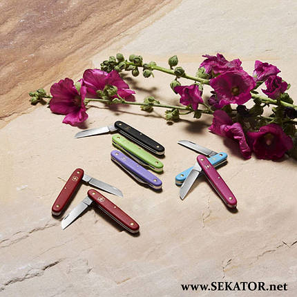 Ніж для щеплення для шульги Victorinox / Вікторінокс Vx39450.B1 (Швейцарія), фото 3