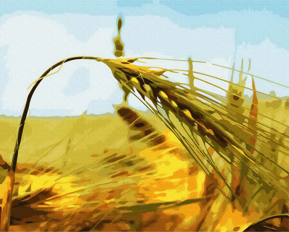Картина за номерами пейзаж 40*50 Житній колос, GX6633 BrushMe Стандартні картини за номерами