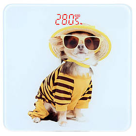 Ваги підлогові скляні (квадратні) на 180 кг YZ-1604 Собачка (9859)