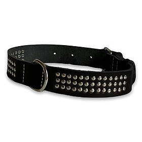 Нашийник для собак шкіряний прикрашений металофурнітурою