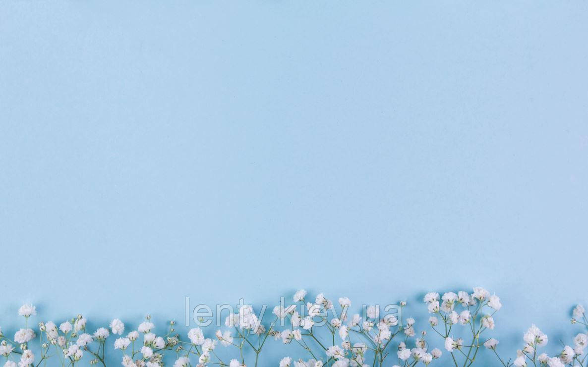 Фото-фон вініловий 120×75 см "Блакитний фон, квіти гіпософілу", фон для предметної зйомки ПВХ (банерна тканина)