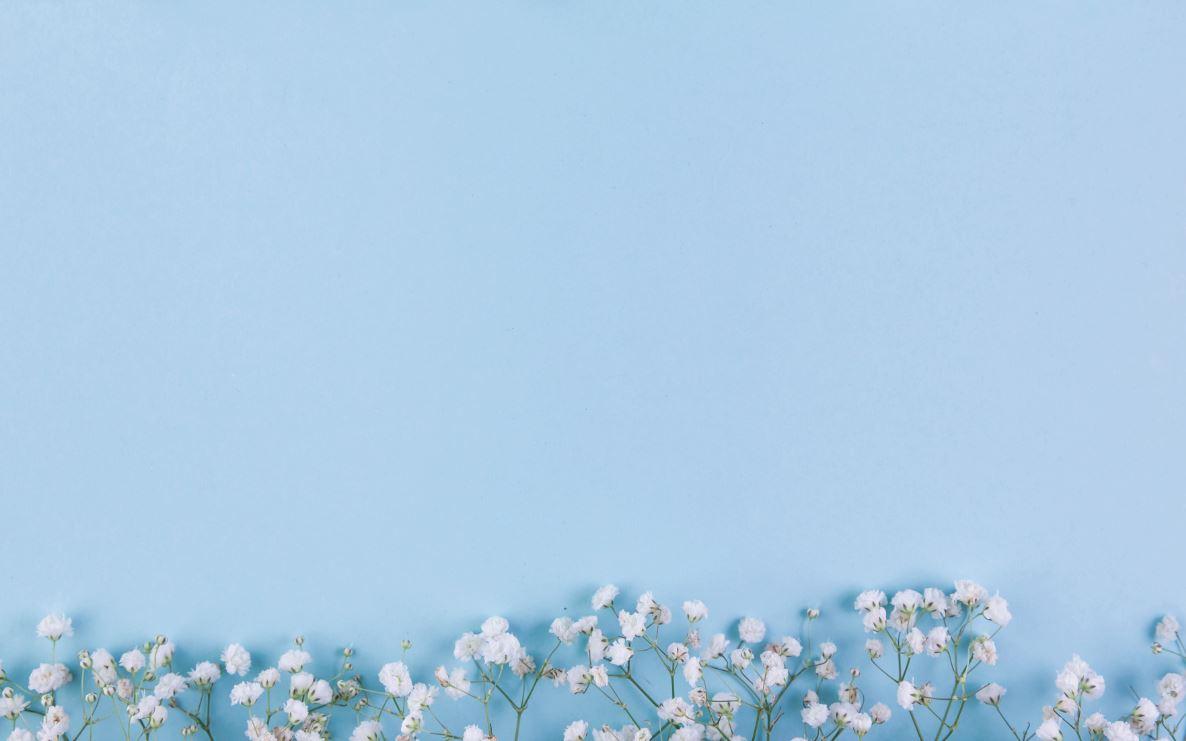 Фото-фон вініловий 120×75 см "Блакитний фон, квіти гіпософілу", фон для предметної зйомки ПВХ (банерна тканина)