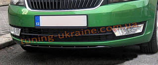 Накладка под передний бампер из ABS пластика на Skoda Rapid 2012