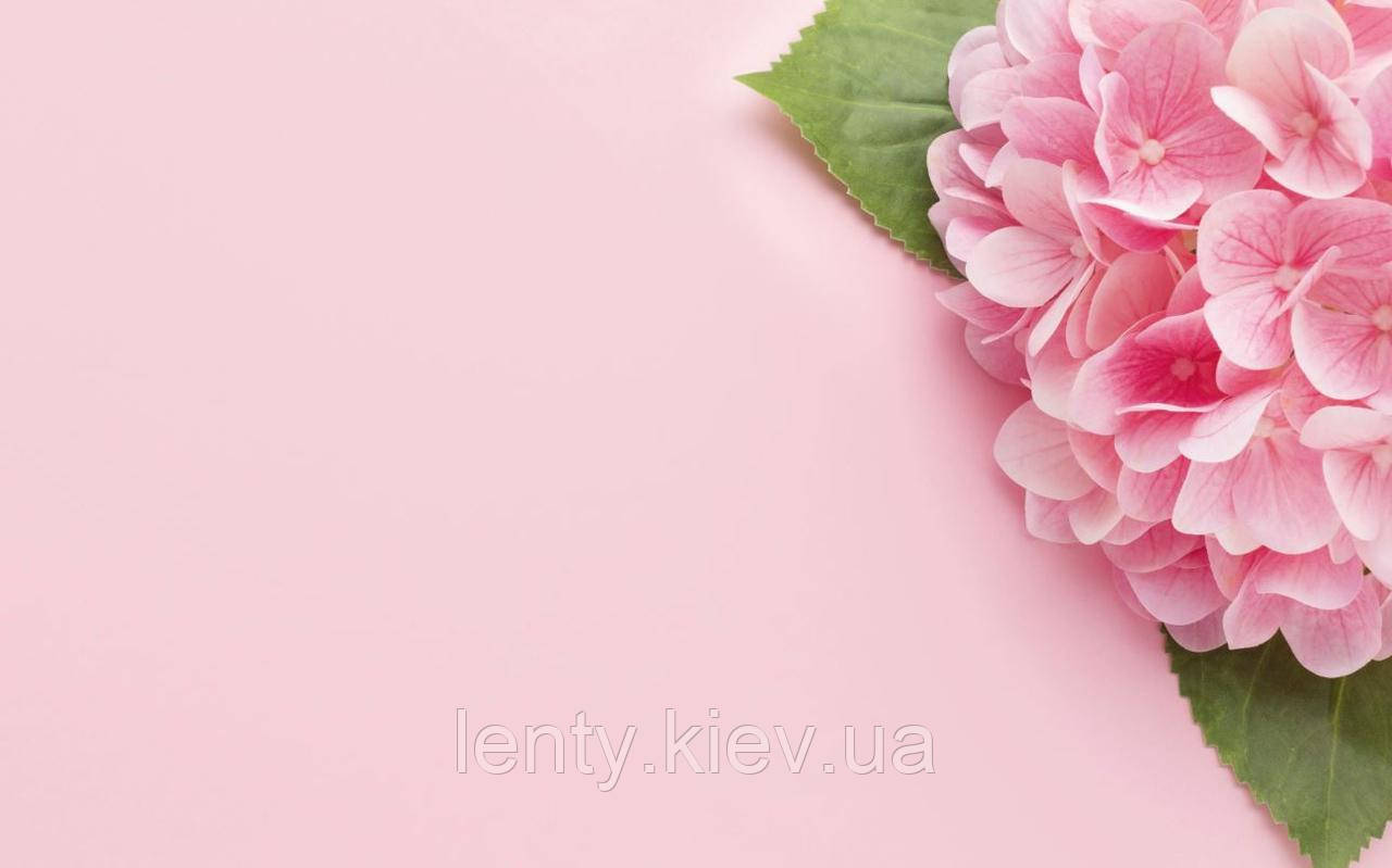 Фото-фон вініловий 120×75 см "Рожеве тло з гортензією", фон для предметної зйомки ПВХ (банерна тканина)