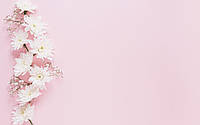 Фото-фон виниловый 120×75 см "Розовый с белыми хризантемами", фон для предметной съемки ПВХ (баннерная ткань)