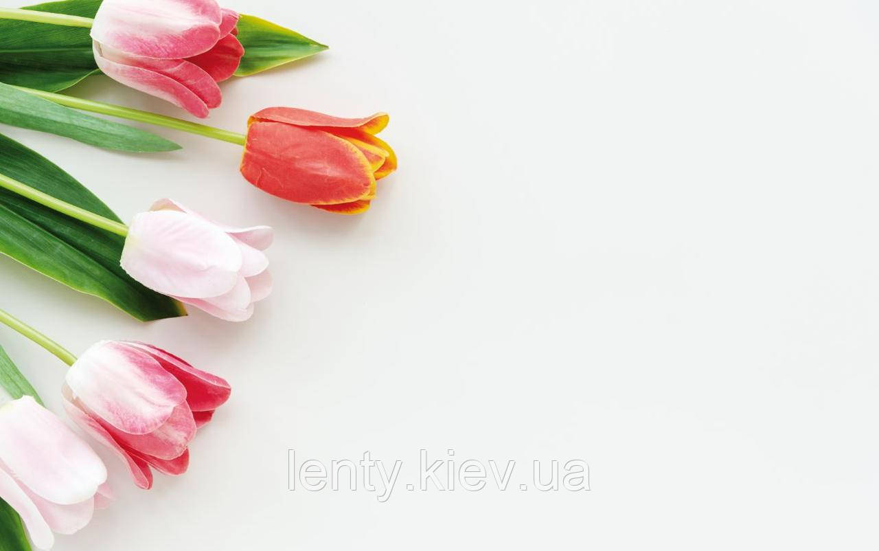 Фото-фон вініловий 120×75 см "Світле тло і 5 тюльпанів", фон для предметної зйомки ПВХ (банерна тканина)