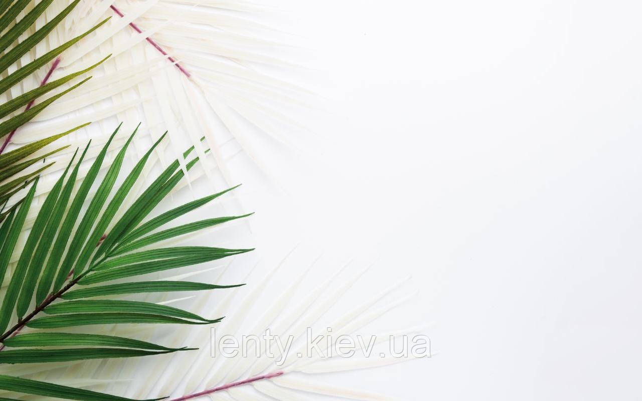 Фото-фон вініловий 120×75 см "Білий фон із зеленим та білим листям пальми", фон для предметної зйомки ПВХ