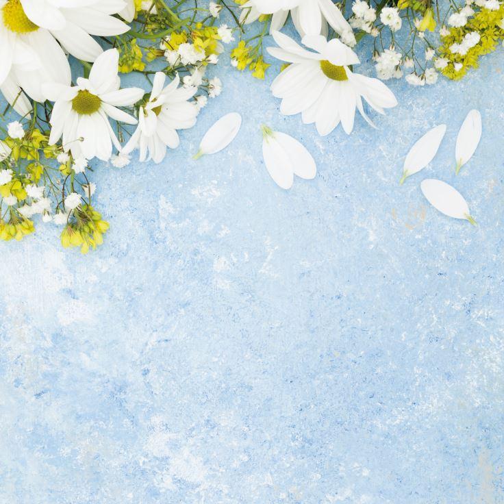 Фото-фон вініловий 100х100 см "Блакитна текстура, ромашка", фон для предметного знімання ПВХ (банерна тканина)