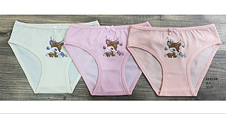 Трусики дитячі для дівчаток ТМ Cicito, Туреччина оптом р.1 (98-104 см)