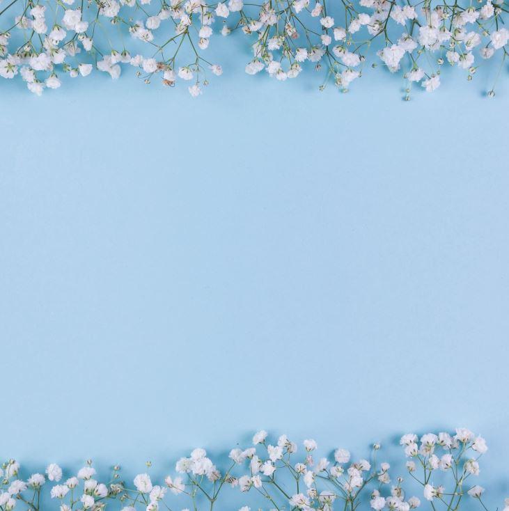 Фото-фон вініловий 100х100 см "Блакитний фон, гіпофіла", фон для предметного знімання ПВХ (банерна тканина)