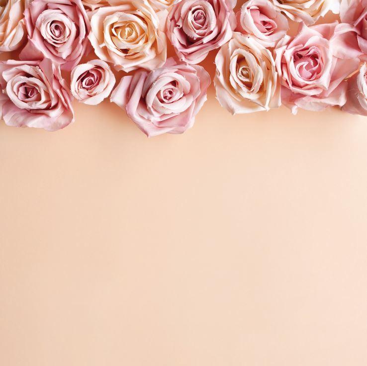 Фото-фон вініловий 100х100 см "Чайні троянди", фон для предметного знімання ПВХ (банерна тканина)