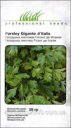 Насіння Петрушка листова Гігант де Італія 20 грамів Hem Zaden, фото 2