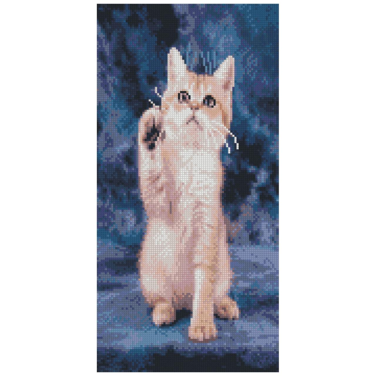 Алмазна картина «Кошеня», 50х25 см