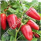 Перець Подарурок Молдови 0,25 г GL Seeds, фото 3